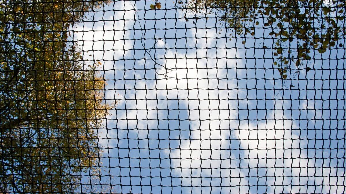 bird netting installed for bird proofing