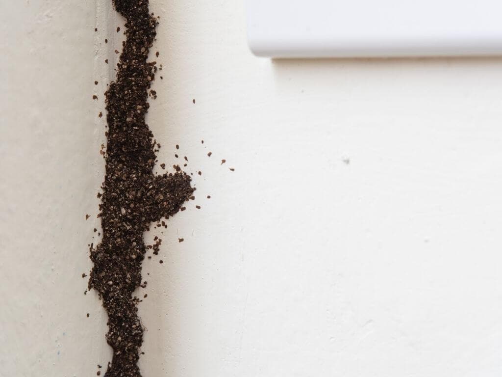 Soil spilled on a white surface, illustrating cleaning or contamination issues.